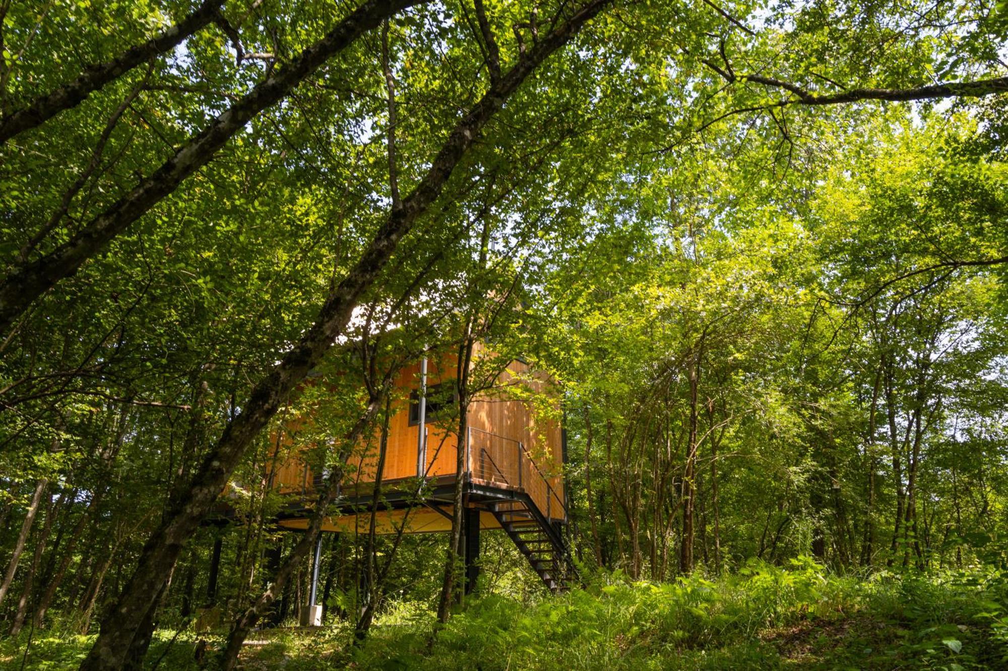 Apartmán Tree Elements Treehouse Retreat Slunj Exteriér fotografie